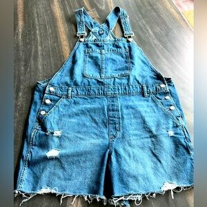 NWOT GAP XL Destructed Overalls